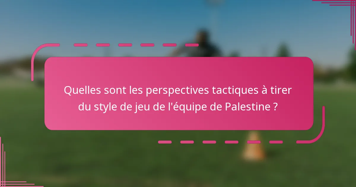 Quelles sont les perspectives tactiques à tirer du style de jeu de l'équipe de Palestine ?
